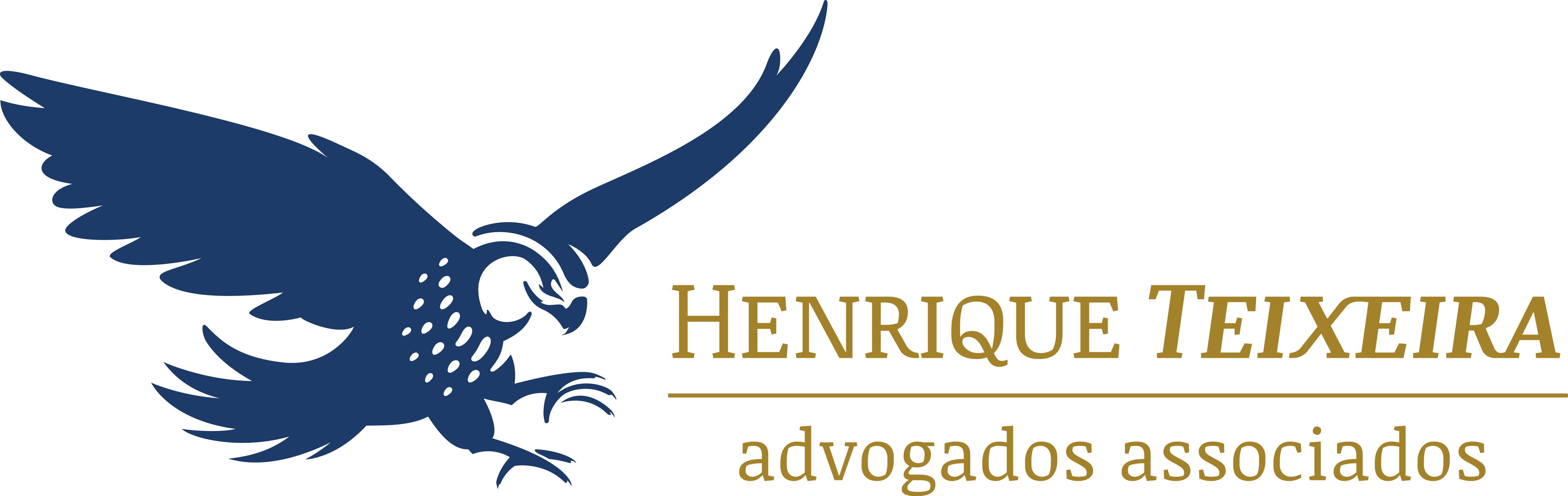 logo ht